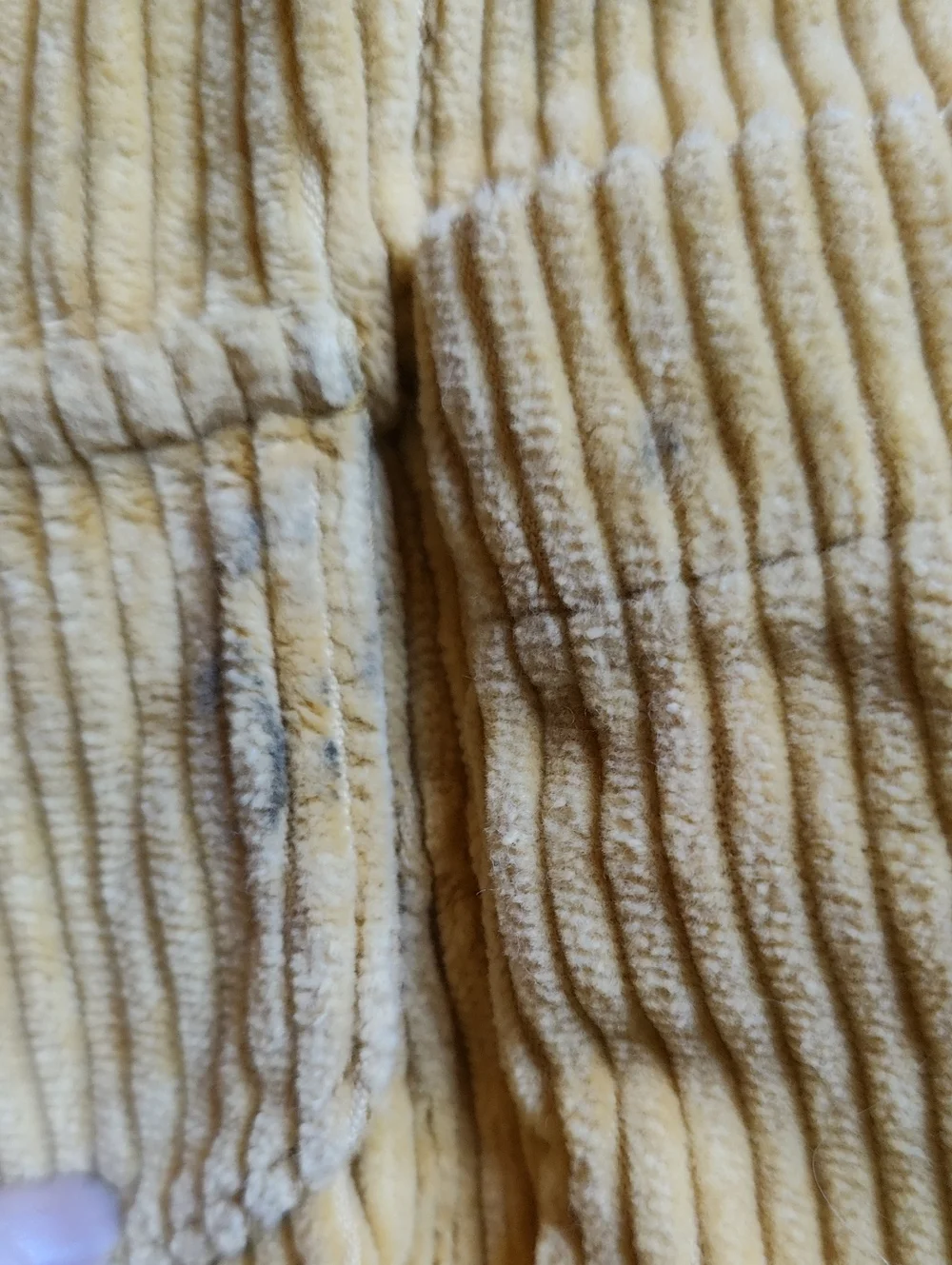 Free People Corduroy Purse